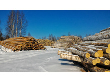 P 20180317 102043-01.jpeg