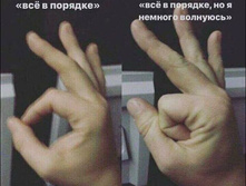 27540241 1171615179642797 577415210433967850 n.jpg