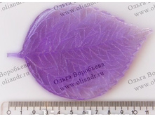 ���� ��������.jpg