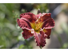 2016 ��� (27).JPG