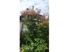 2017 ��� (91).jpg