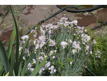 2016 ��� (48).JPG