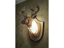 ������ �������� - ������ �����, ����������