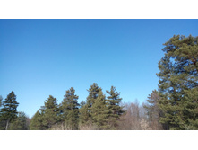 IMG 20180310 124815.jpg