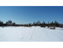 IMG 20180317 115809.jpg