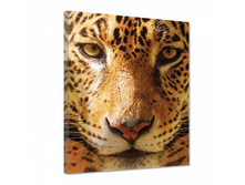 2004 ������ - 150�