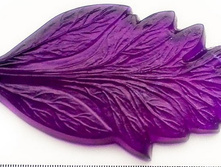 ���� ����������.jpg