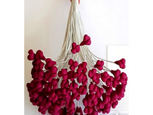 ������� ��� ����� ������.jpg