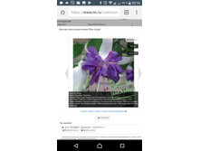 Screenshot 20171015-221700.png
