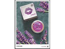 ������� ������� (� �������� ���������) 5 �� - 70 ���..PNG