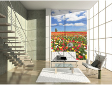 ���� ������� �������.jpg