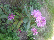 2014-05-25 15.36.24.jpg