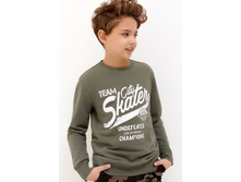 20110100123   Platini   ���� preview.jpeg