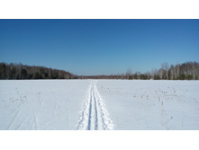 IMG 20180311 115501.jpg