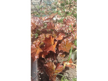 2017 ��� (89).jpg