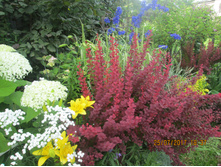 ����� ���������, ������ � ����� ����� ����.