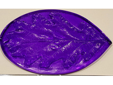 ���� ������������� ���, ����������.jpg