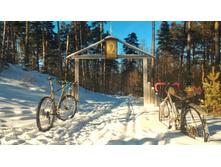 P 20180308 154124-01.jpeg