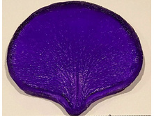 �������� �������������, ����������.jpg