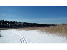 IMG 20180310 113645.jpg