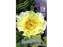 929.6���. ���� ������ ����� (���) �������� 1��.