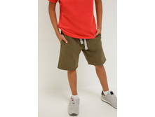 20110420029   Swift       (      ).jpg