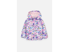 20220130132   Tanager   ������-����������(���) preview.jpeg