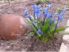 ����� 50� �������