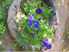 2014-05-25 15.36.54.jpg