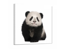 1003 ����� - 150�