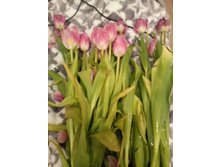20180307 200056.jpg