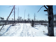 IMG 20180317 124857.jpg