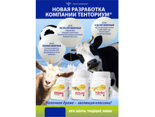 �������� �������� �����.jpg