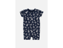 22154170013      .jpg