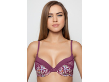 BF0781 �����������