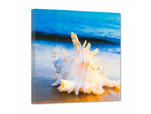 1011 ������� ������� - 150�