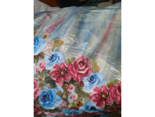 �������� ����