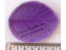 ���� ��������� �.jpg