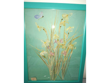 IMG 20171124 191258.jpg