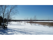 IMG 20180309 115307.jpg