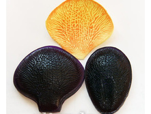 �������� �������.jpg