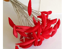 ������� ��� ����� �������.jpg