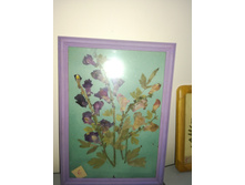 IMG 20171124 191349.jpg