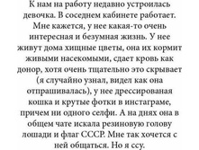 27337054 1787079218264457 6805147910281385407 n.jpg