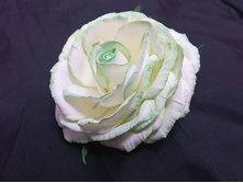 IMG 20180207 140756.jpg