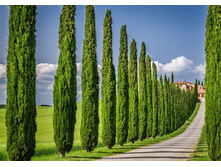 WS0381:360:254 ����� - 950�.jpg