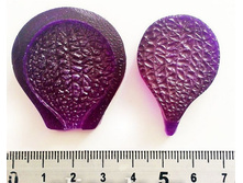 �������� ����� ������� �.jpg