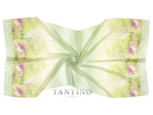 SH2-17-5 - 380 �..jpg