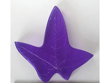 ���� ����� �.jpg