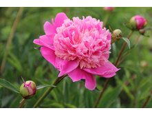 ���� ������� (�ϣ ����)